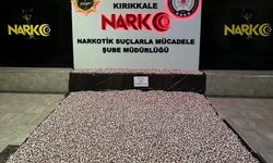107 bin 200 sentetik ecza hapı ele geçirildi