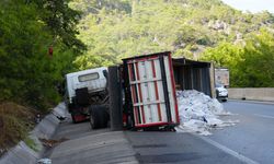 Pelet yüklü kamyon bariyerlere çarptı, kasası devrildi