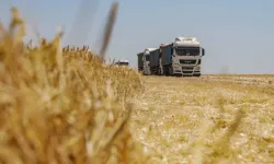 Rusya'dan küresel piyasaları etkileyecek hamle: Tahılda ihracat vergisi sıfırlanıyor