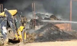 Eskişehir'de çiftlikte yangın: 25 hayvan telef oldu