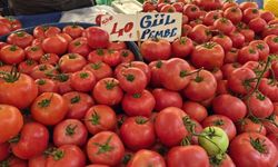 Eskişehirli pazarcıdan uyarı: Her domates kışlık sos yapmaya uygun değil