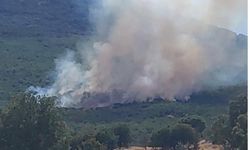 Eskişehir'de ormanlık alanda çıkan yangın kontrol altına alınmaya çalışılıyor
