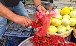 Sonbaharda çilek bereketi: Eskişehir’de tezgaha gelir gelmez tükeniyor