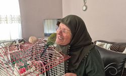Ölmek üzereyken sahiplendiği muhabbet kuşu hayat arkadaşı oldu