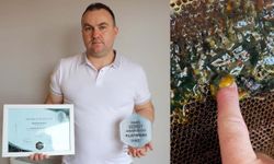 Arı kovanlarını açtığında peteklerde yeşil renkli bal ile karşılaştı
