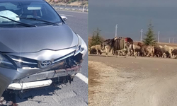 Sivrihisar’da yola fırlayan koyun kazaya neden oldu: 1 yaralı