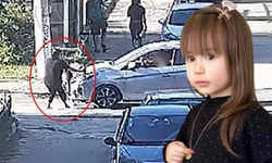 Minik Elif'e çarpan sürücü yeniden gözaltına alındı