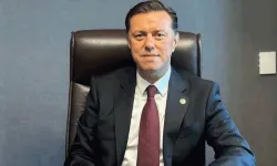 Milletvekili Hatipoğlu, Filenin Sultanları'nı tebrik etti
