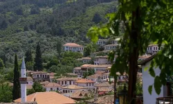 Eskişehir’in o köyünde hayvan ölümleri çoğaldı: “Çöp yedikleri için ölüyorlar”