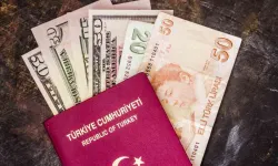 Usulsüz vatandaşlık soruşturması: 30 şirkete kayyım atandı!