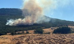 Mihalıççık’taki orman yangınına havadan ve karadan müdahale
