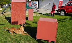 Saklanan çocukları saniyeler içinde buldular