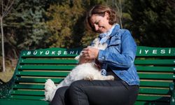 Başkan Ünlüce'den 4 Ekim Dünya Hayvanları Koruma Günü mesajı