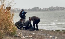 Göl kenarında erkek cesedi bulundu