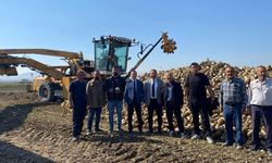 Alpu’da pancar hasadı: Kaymakam çiftçilerle buluştu