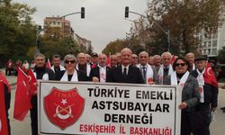 TEMAD Eskişehir İl Başkanlığı üyeleri 29 Ekim geçit töreninde yürüdü