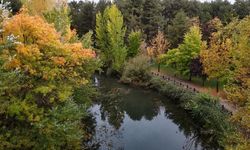 Eskişehir'de sonbahar manzarası mest etti