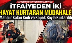 Eskişehir itfaiyesinden can dostlara nefes aldıran kurtarma