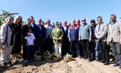 Eskişehir’de 820 yıllık Selçuklu köyünde bağ bozumu geleneği yaşatıldı