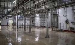 Eskişehir’e yeni mezbaha binası yapılacak: İhale tarihi belli oldu