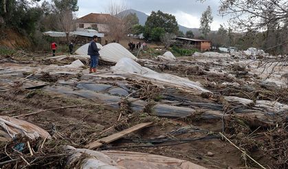 Tüm birikimlerini 1 saatte kaybettiler