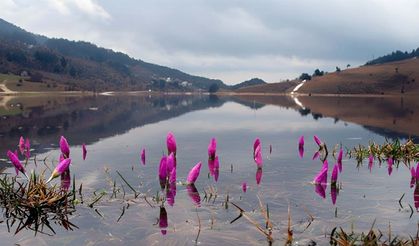 Bahar kapıda: İkinci cemre düştü!