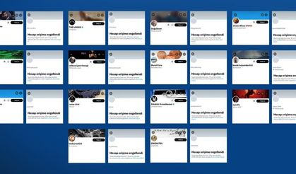 Milli güvenliği tehdit eden 14 hesaba erişim engeli!