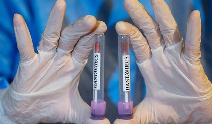 DSÖ’den hantavirüs açıklaması: Yeni pandemi alarmı yok