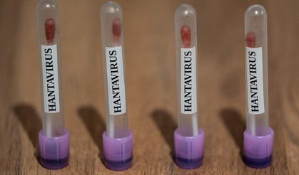 ABD’de hantavirüs alarmı: CDC “3. seviye acil durum” ile takibe geçti