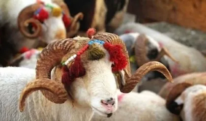 En güzel Kurban Bayramı mesajları: En anlamlı Kurban Bayramı sözleri