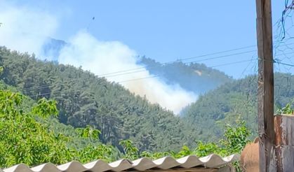 Manisa'da orman yangını: Havadan ve karadan müdahale ediliyor