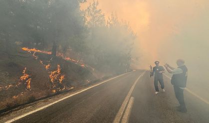Balıkesir'de çıkan orman yangınına ilişkin 2 tutuklama