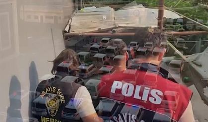 Siber şebekelere dev darbe