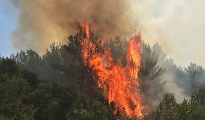 Muğla’da yangın büyüyor: 2 ilçe etkilendi, evler tahliye ediliyor!