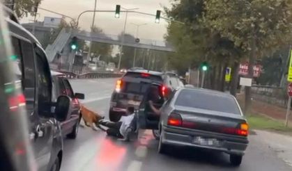 Köpeğin vatandaşı ayağından ısırıp sürüklediği anlar kamerada