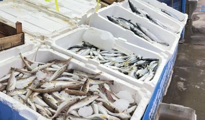 Fırtına balık tezgahlarını hareketlendirdi: Karaburun’da palamut bolluğu
