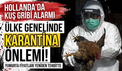 Hollanda'da kuş gribi alarmı: Ülke genelinde karantina önlemi