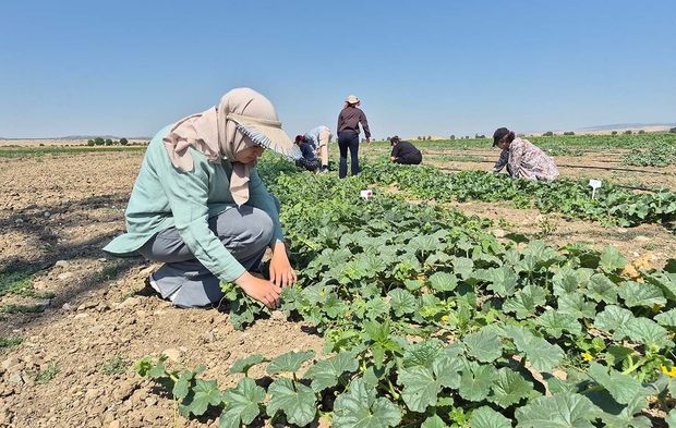 Geleceğin ziraat mühendisleri Eskişehir'de yetişiyor