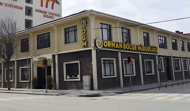 2026 yılı orman emvali mesaha hizmet alımı işi