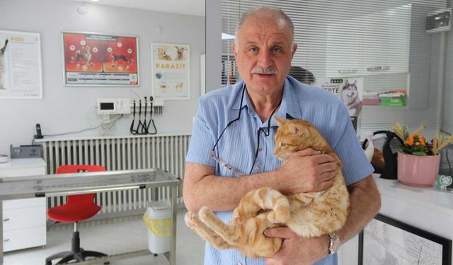 Kedisini veterinere yetiştirmeye çalışırken trafik cezası yedi, itiraz etti