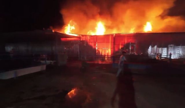 Eskişehir’de korkutan yangın: Motosikletli vatandaş hayvanları kurtardı