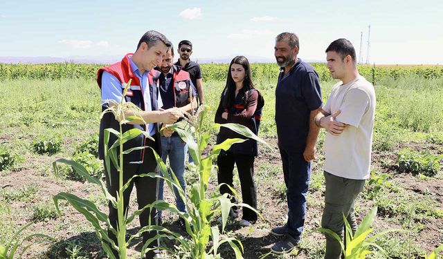 Ağrı'da çiftçinin bostanı örnek oldu: Sebze, meyve ve tahıl bir arada