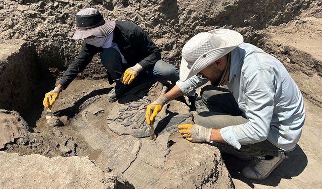 Eski Van Şehri'nde 1. Dünya Savaşı'nın izleri: Gülle ve çok sayıda mermi kovanı bulundu