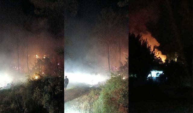 Orman Yangını Köyceğiz’de Büyümeden Söndürüldü