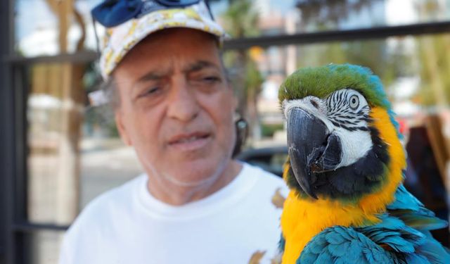 Turgut Özal'ın kaybolan papağanı 3 gün sonra bulundu