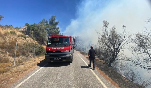 İzmir'de ormanlık alanda yangın çıktı: Havadan ve karadan müdahale başladı