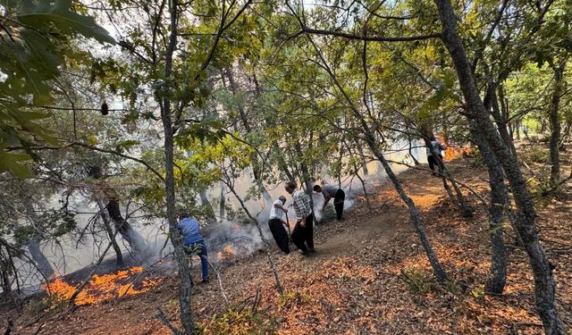 Adana'da orman yangını: Ekipler havadan ve karadan müdahale ediyor