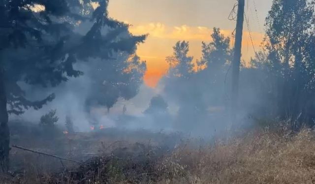 Bursa’da korkutan orman yangını