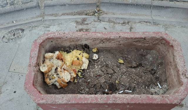 Eskişehir’de sokak hayvanları için pes dedirten manzara