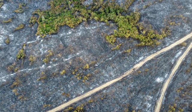Gelibolu’da büyük ölçüde kontrol altına alınan orman yangınında yanan yerler dronla görüntülendi